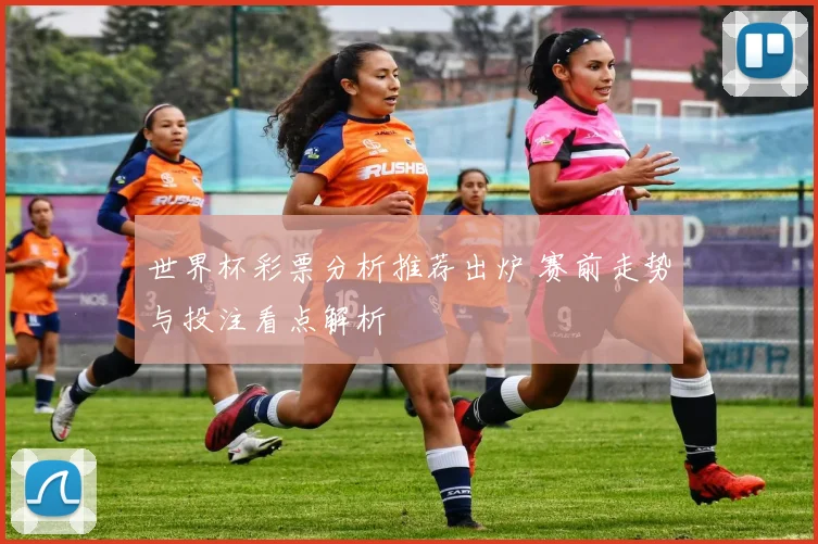 世界杯彩票分析推荐出炉 赛前走势与投注看点解析