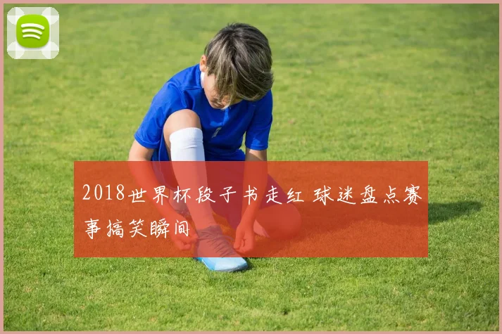 2018世界杯段子书走红 球迷盘点赛事搞笑瞬间