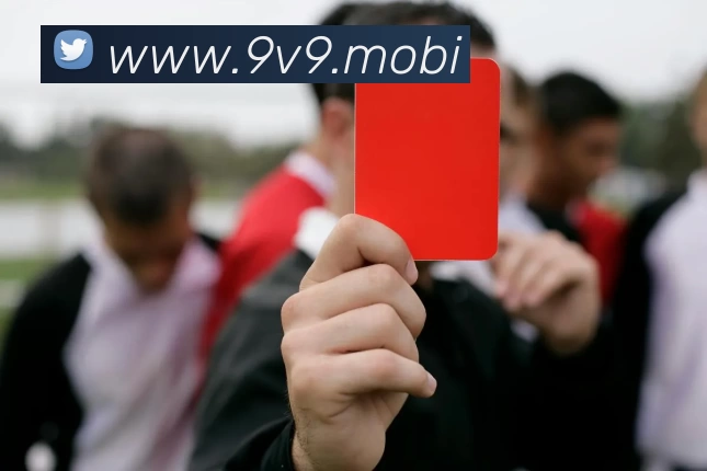 kaiyun电竞竞猜(中国)有限公司品牌故事