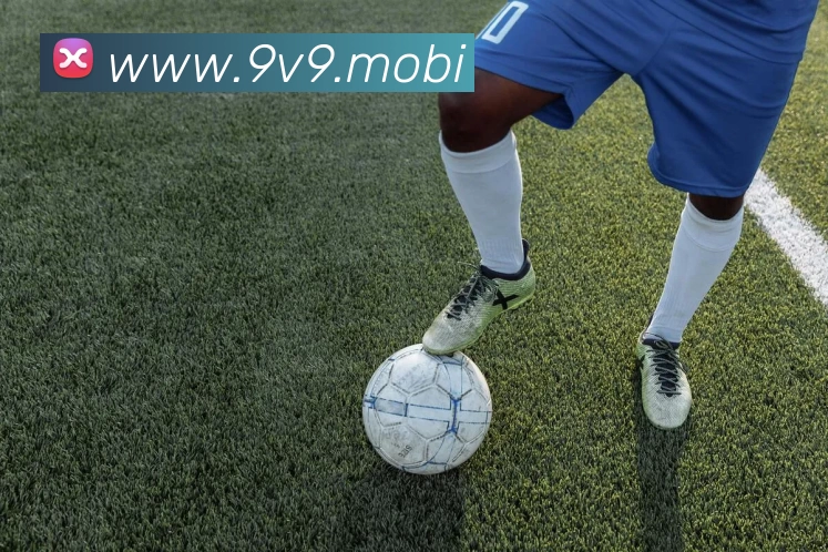 多媒体互动体验